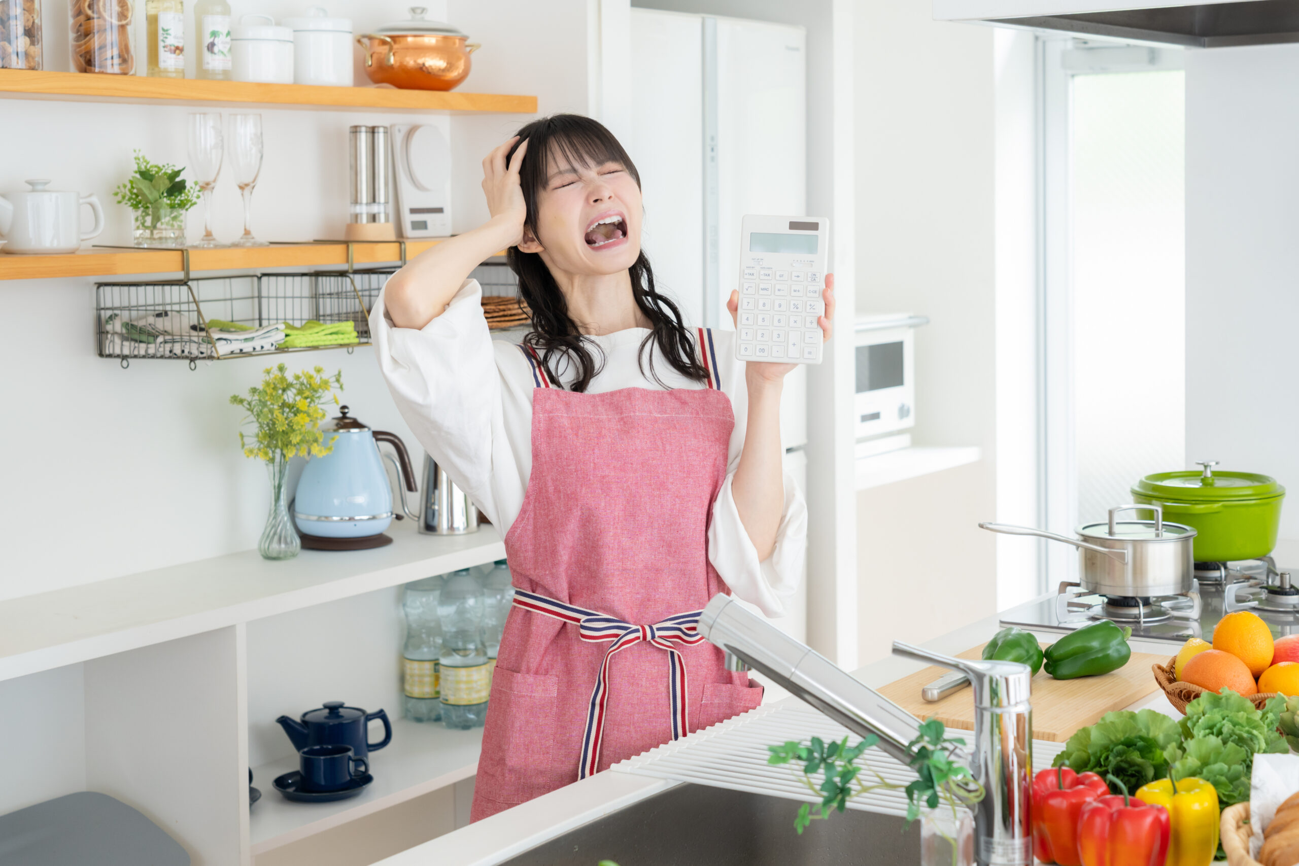 公明党兵庫県本部議員総会で物価高対策について報告する様子