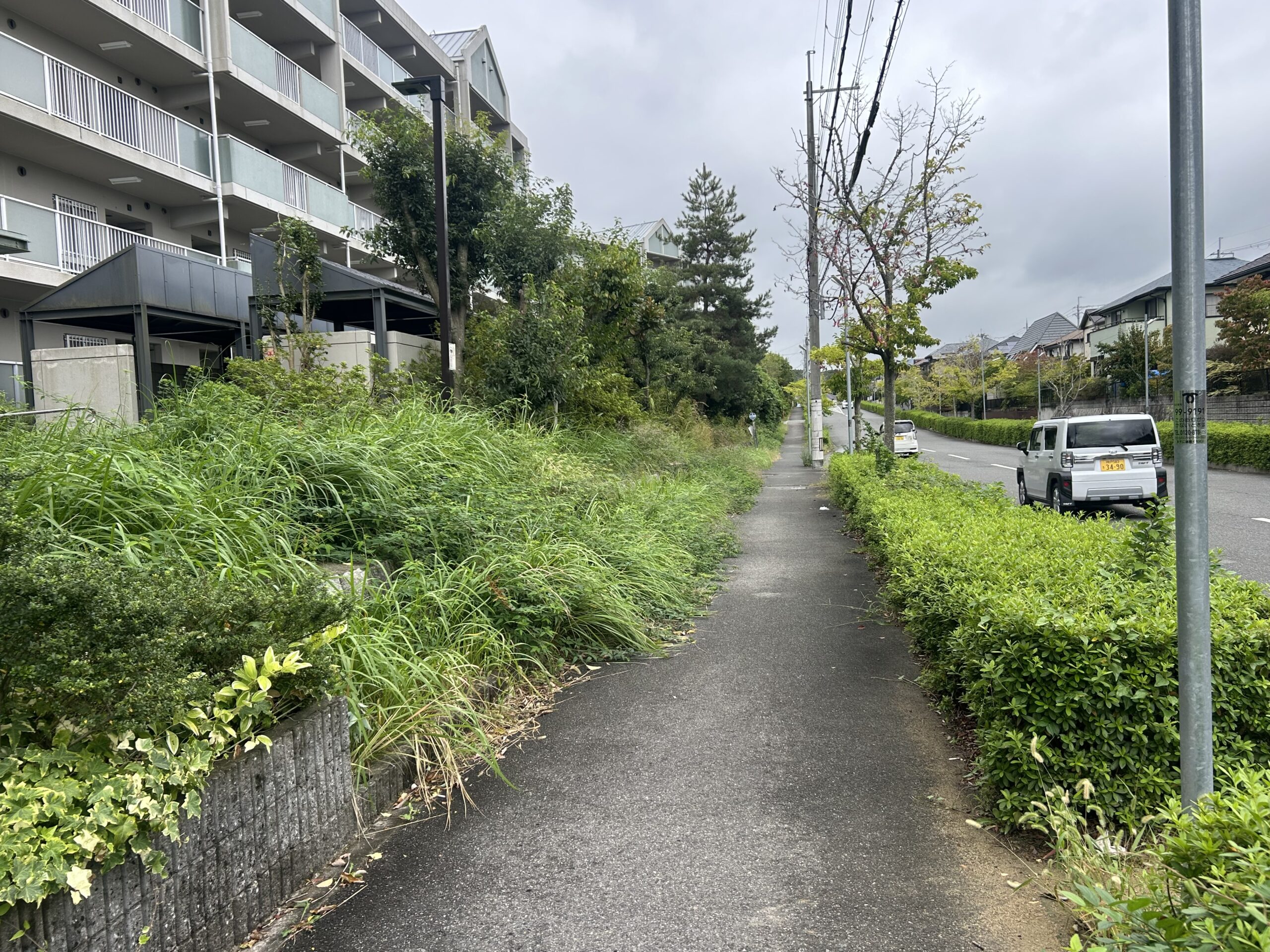 市営鹿の子台南住宅の草が伸びた共用部の様子