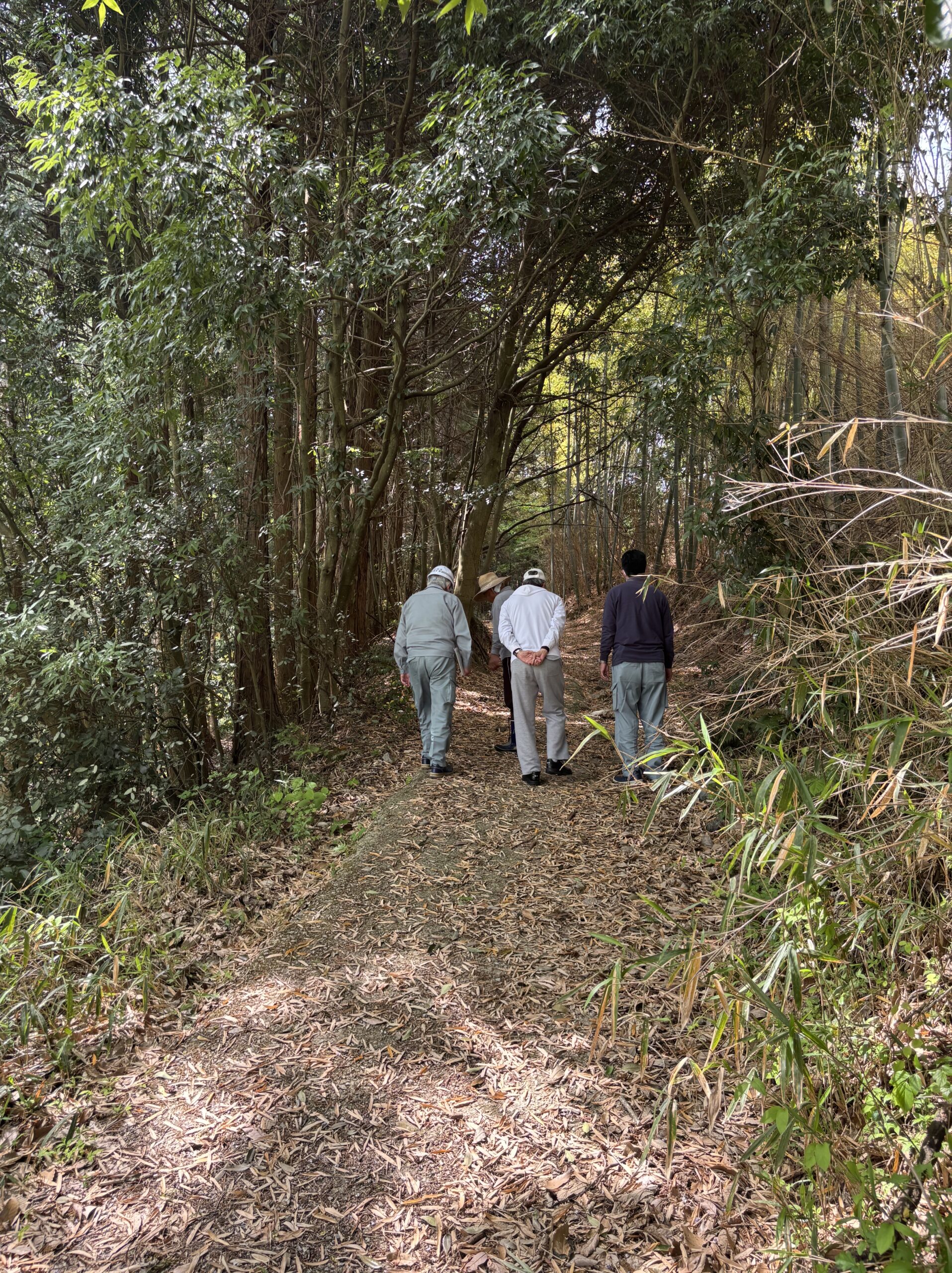 北建設事務所とともに行った生活道の現地調査の様子