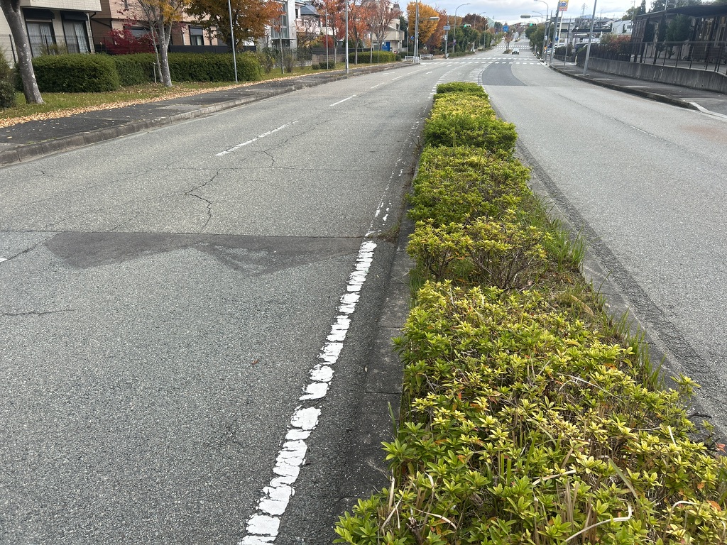 道路雑草・防草対策に4.6億円の予算［神戸市北区］神戸市会議員 堂下豊史