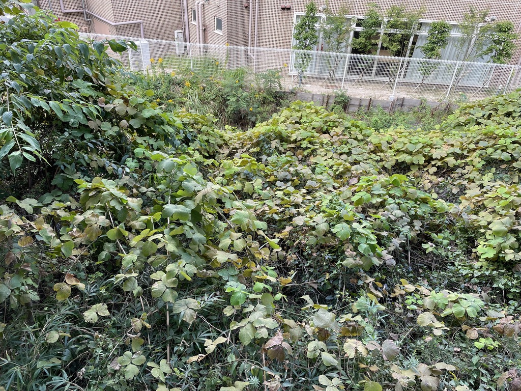 廊下から川底が確認できない状態