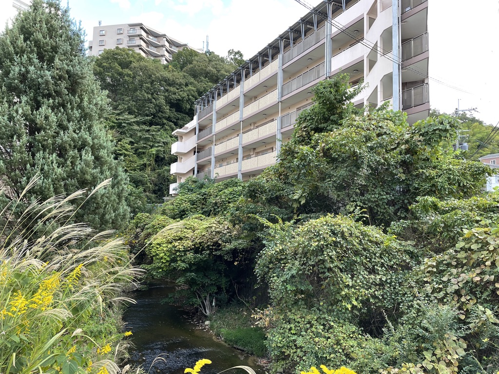 箕谷川の立木繁茂・景観悪化の様子
