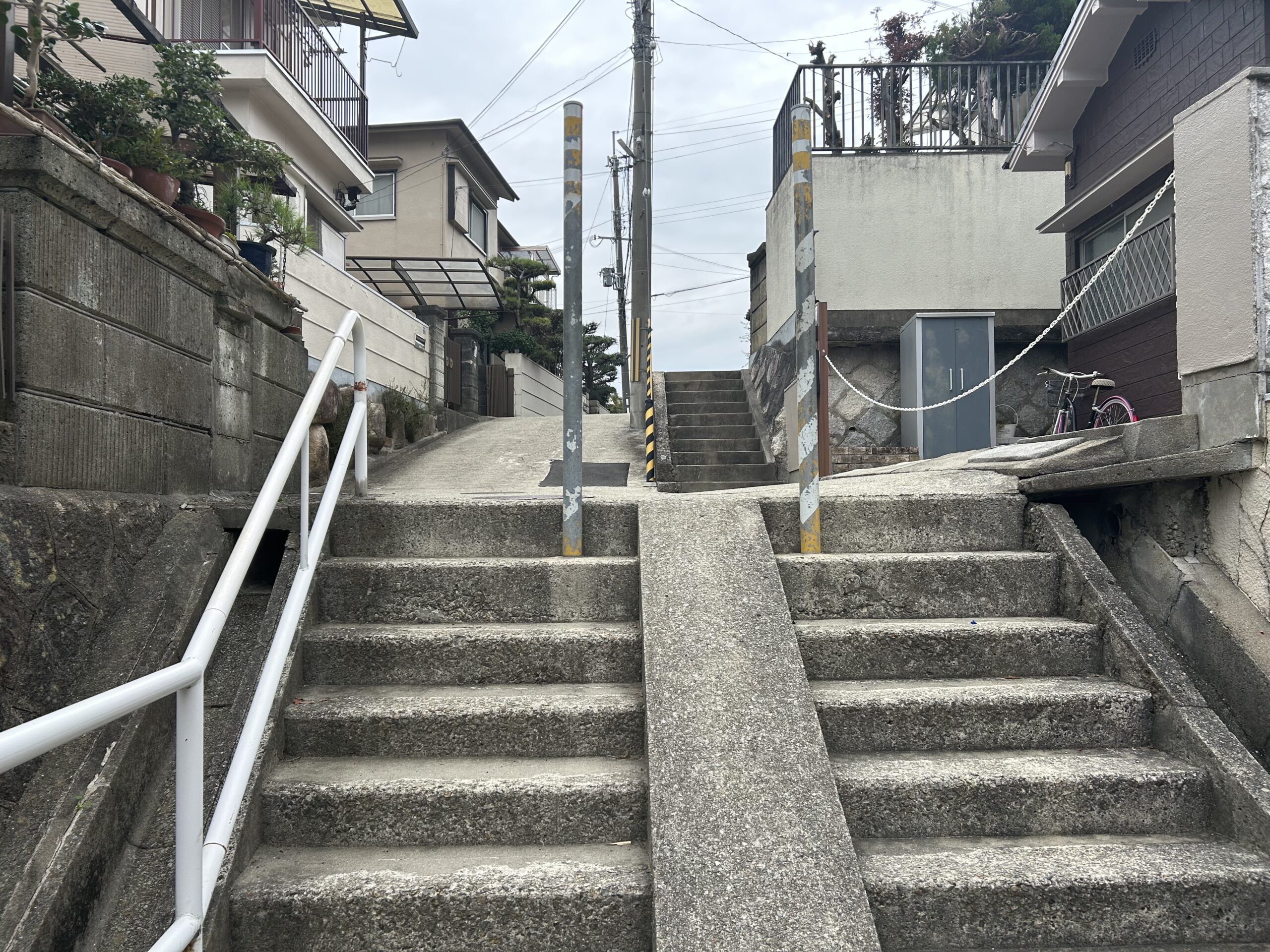 西大池全景（改善前）