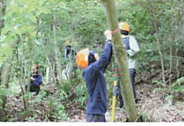 古材活用普及啓発活動業務委託事業者募集［神戸市北区］神戸市会議員 堂下豊史