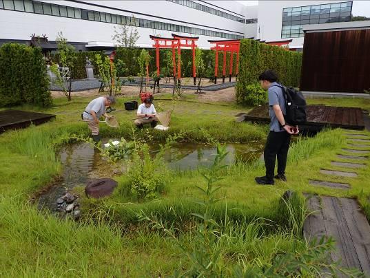 生物多様性豊かなビオトープの造成・再生の支援［神戸市北区］神戸市会議員 堂下豊史