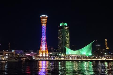 筋痛性脳脊髄炎等世界啓発デーライトアップ［神戸市北区］神戸市会議員 堂下豊史