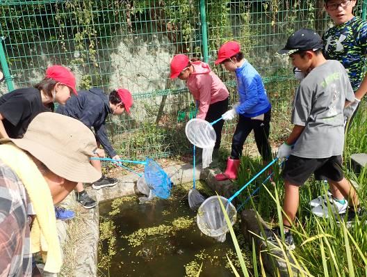 生物多様性豊かなビオトープの造成・再生の支援［神戸市北区］神戸市会議員 堂下豊史