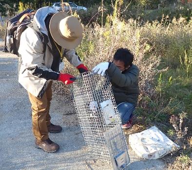 アライグマによる被害防止策の強化について［神戸市北区］神戸市会議員 堂下豊史