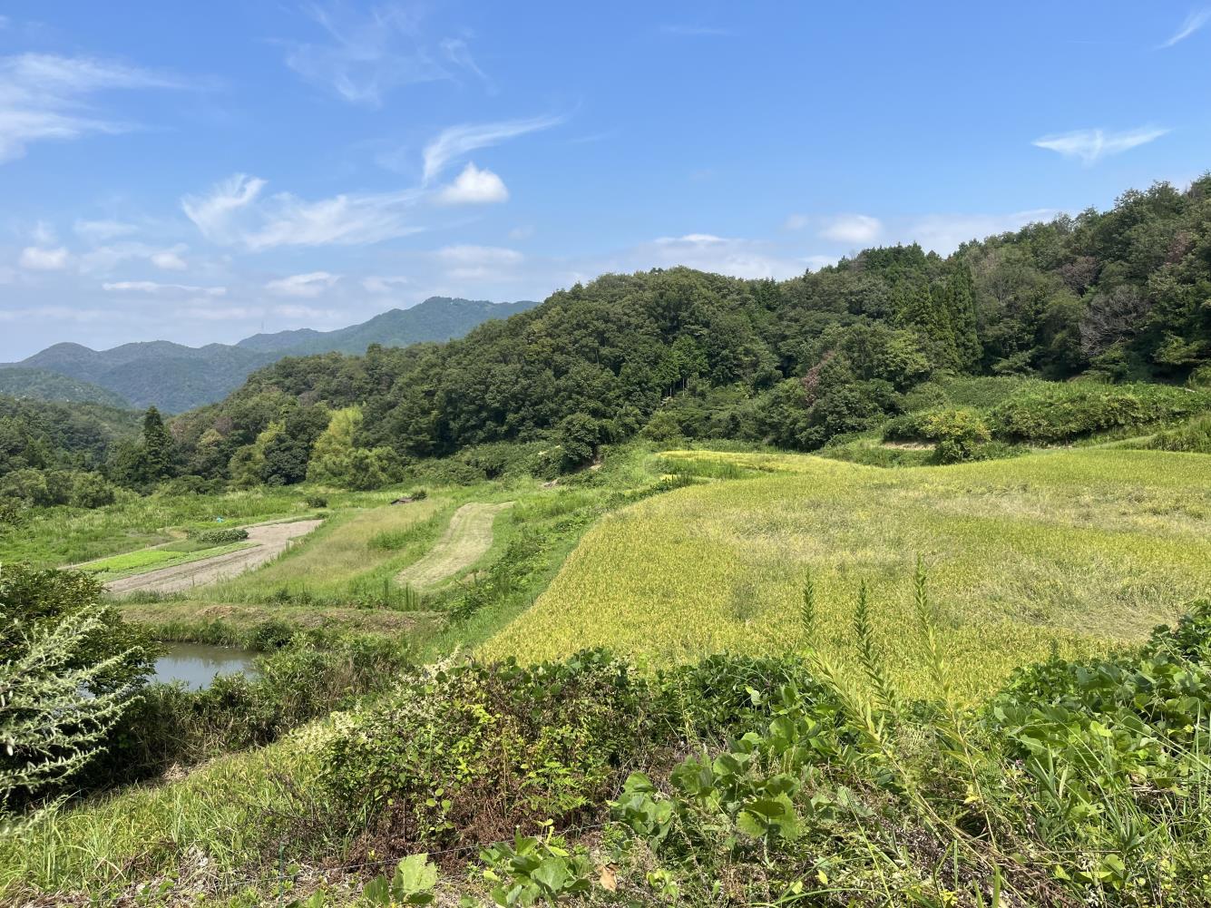 国連の生物多様性条約締約国会議（COP17）に参加する学生を決定［神戸市北区］神戸市会議員 堂下豊史