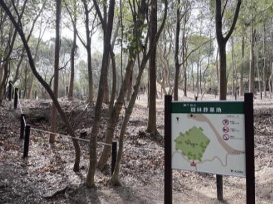 樹林葬墓地の利用希望者募集結果［神戸市北区］神戸市会議員 堂下豊史