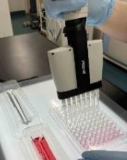 微量分注器によるPCR操作の疑似体験