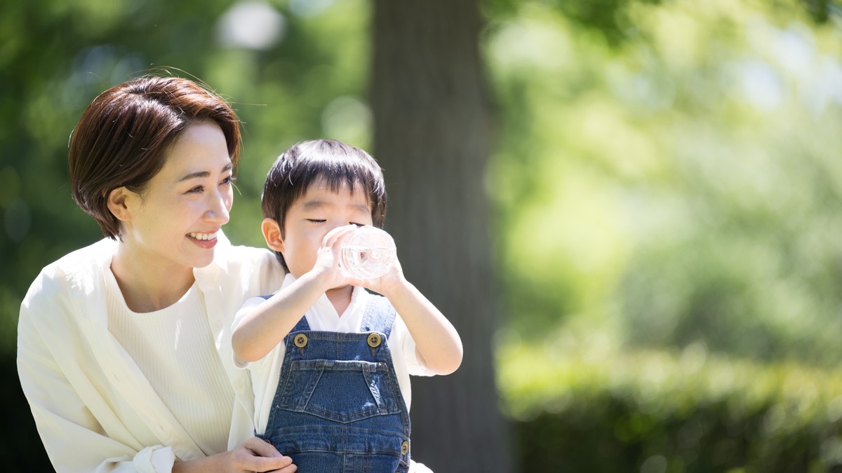 木陰のある公園の様子