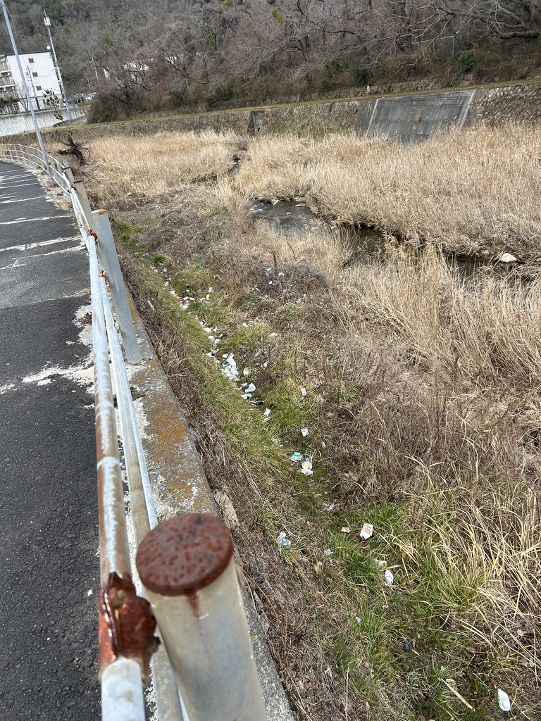 有野川沿いのガードレール脇に散乱していたごみ